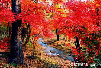 拉法山国家公园风景图