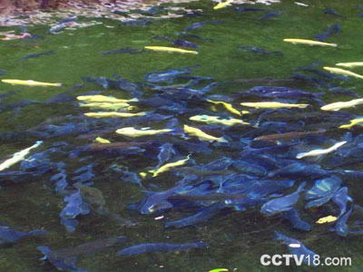 三角龙湾风景图