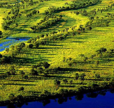 三江自然湿地保护区风景图