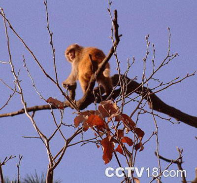 南湾湖风景区风景图