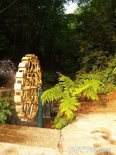 红石野谷——杨家岩景区风景图