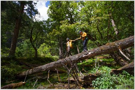 去往目若村的路上,途径一片原始森林,满眼的绿意