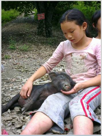 怒族的一位小姑娘怀抱她的宠物——小黑猪