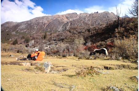 在大自然的世界中,万物都是平等的