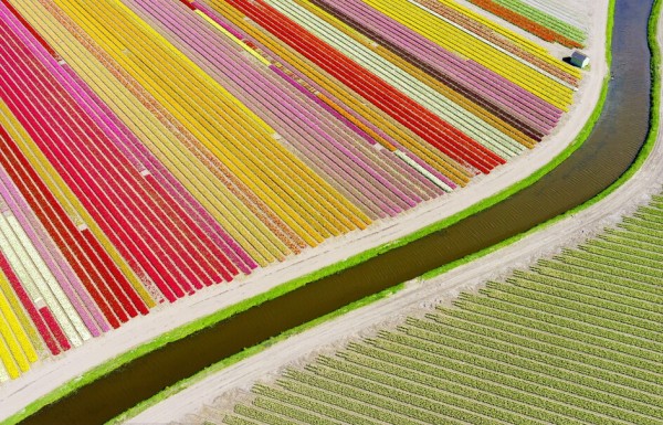 2015年最让人感动的20个旅行瞬间 你记住了几个？