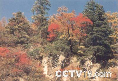 龙峪湾国家森林公园风景图
