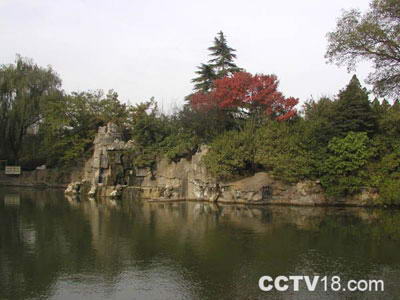 王城公园风景图