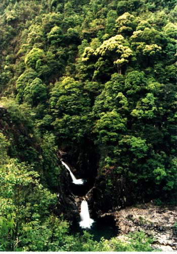 乌岩岭国家级自然保护区