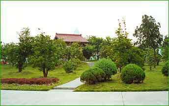 杏花公园风景图