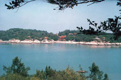 东山岛风景图