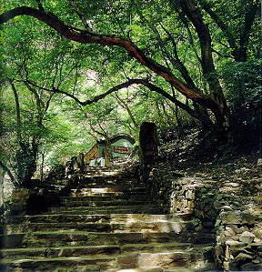 苍岩山风景区风景图