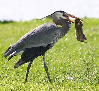 秦皇岛野生动物园风景图