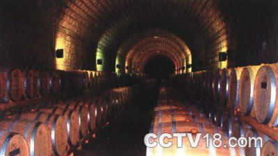 昌黎县葡萄沟风景图