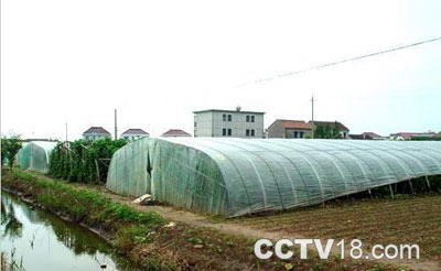 保定昌利农业旅游示范园风景图