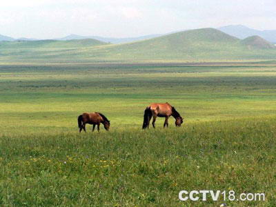 木兰围场风景图