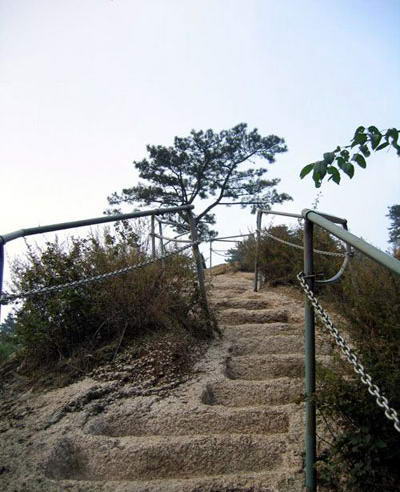 六里坪森林公园风景图