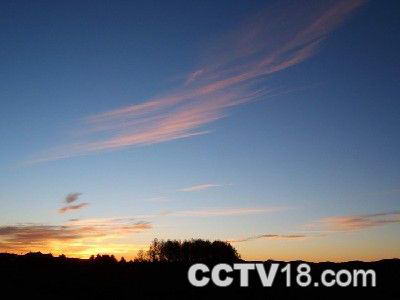 塞罕坝国家森林公园风景图