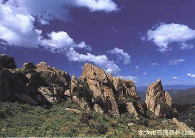 北大山石海森林公园风景图