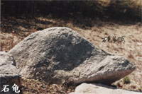 北大山石海森林公园风景图