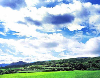 木兰围场坝上草原