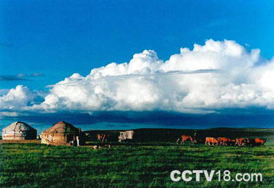 内蒙古希拉穆仁草原旅游中心风景图