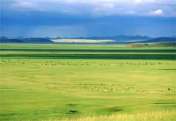 内蒙古希拉穆仁草原旅游中心风景图