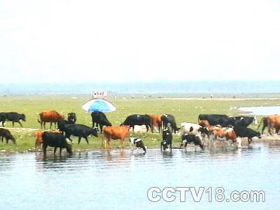 凉城岱海旅游区风景图