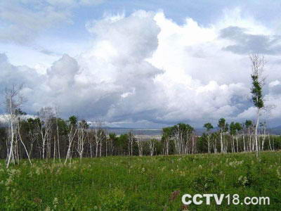 锡林郭勒大草原风景图