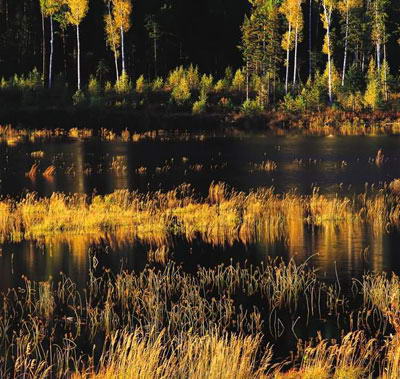 三江自然湿地保护区风景图