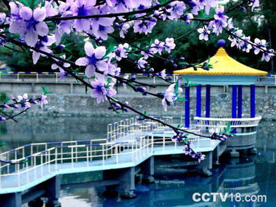 九江学院风景图