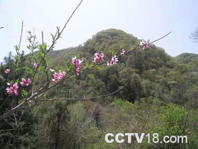 甘山森林公园风景图