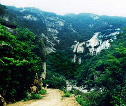 宝天曼自然保护区风景图