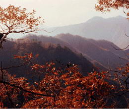 宝天曼自然保护区风景图
