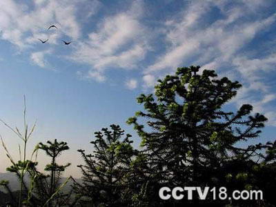 董寨国家级自然保护区风景图
