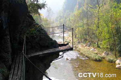五龙河风景区风景图