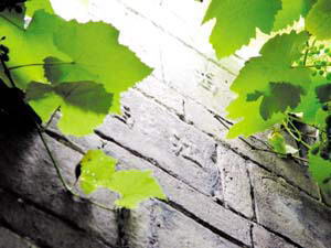 黄龙库区水上乐园风景图