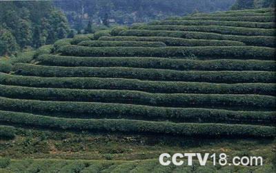 五马坪监狱遗址