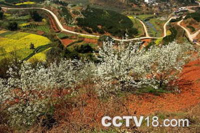 乐至县蟠龙湖旅游区