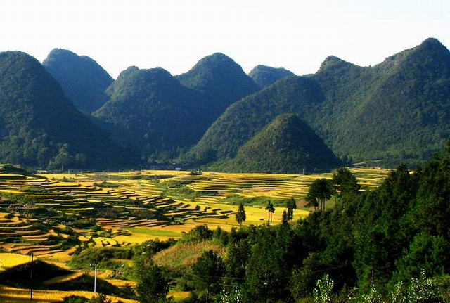 茂兰喀斯特地貌