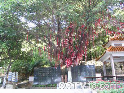 太和古洞风景区