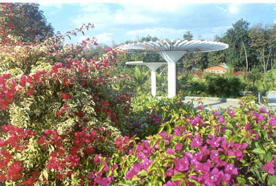 西双版纳热带花卉园