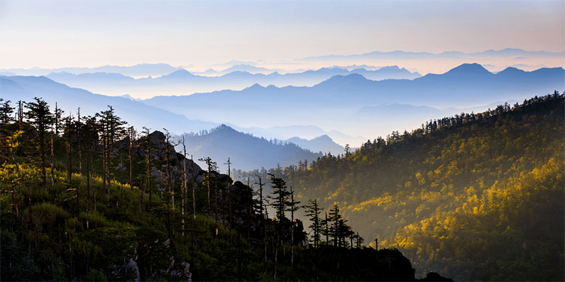 大熊猫国家公园